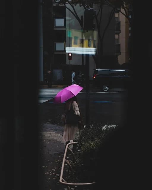 Person with a pink umbrella on a dark city street